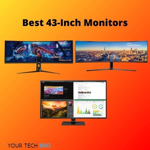 Best 43-inch Monitors