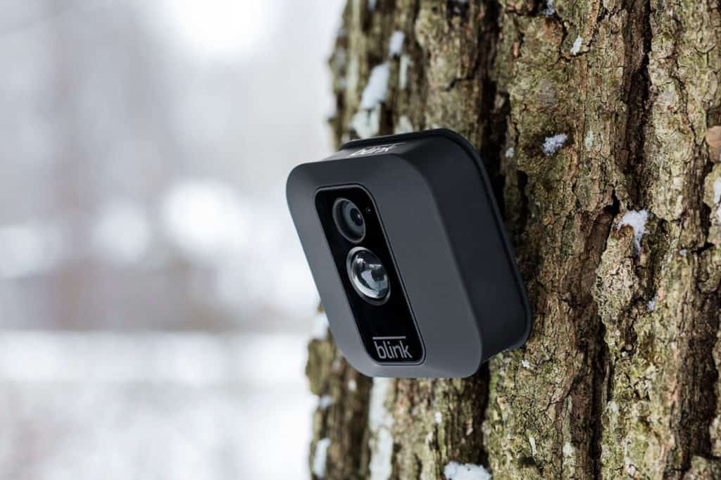 Blink outdoor camera on tree