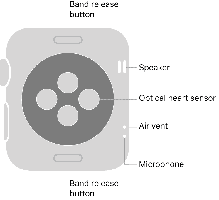 Apple Watch Series 3 Rear Schematic