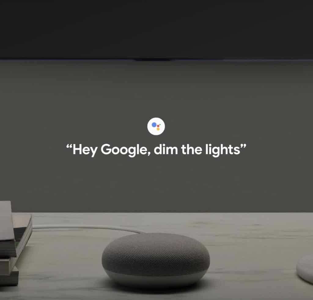 Google Nest Mini Smart Home Feature