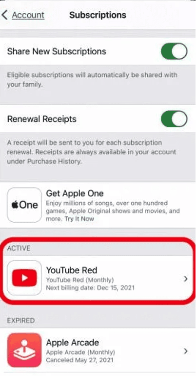 Subscriptions On iPhone - Subscriptions List