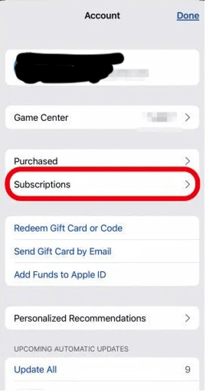 Subscriptions On iPhone - Subscriptions Settings