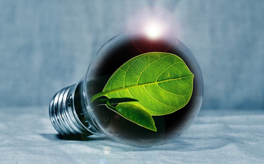 Lightbulb with leaf inside