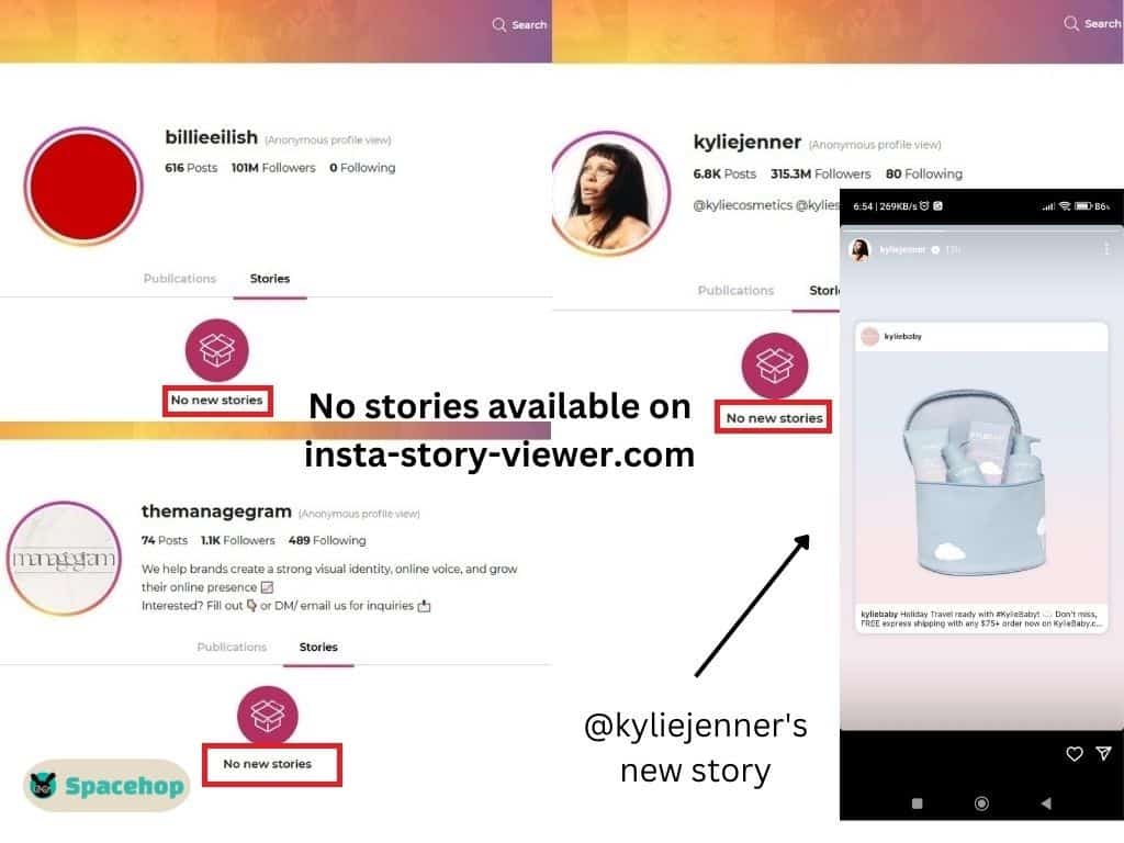 InstaStoriesViewer comparison with actual Instagram Stories