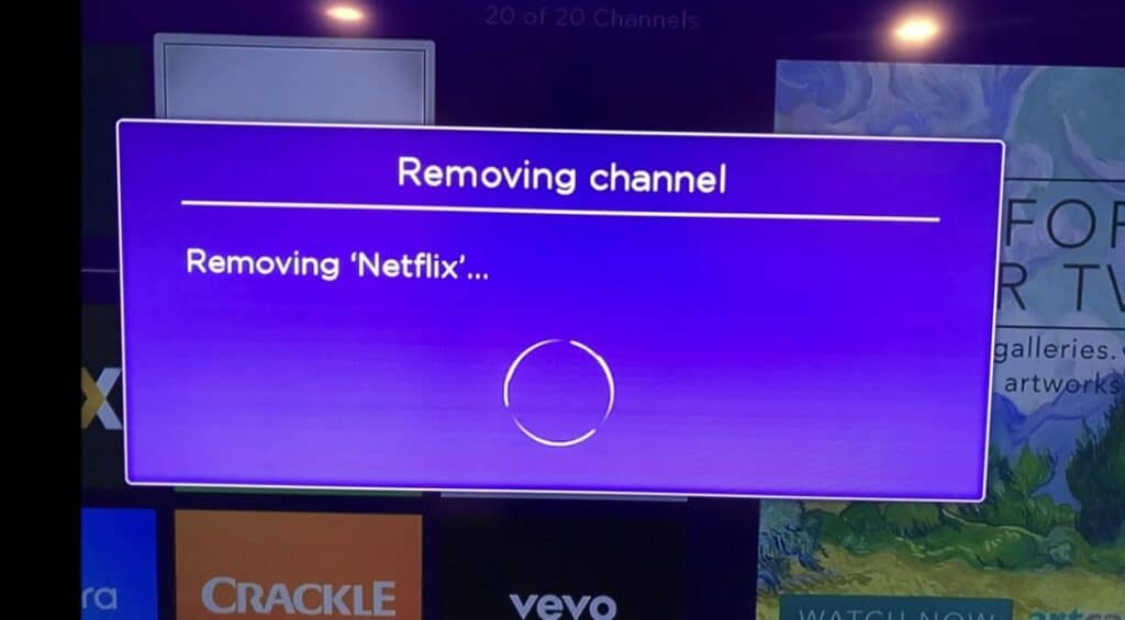 Removing Netflix